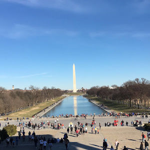 Meet your Posher, Marlee